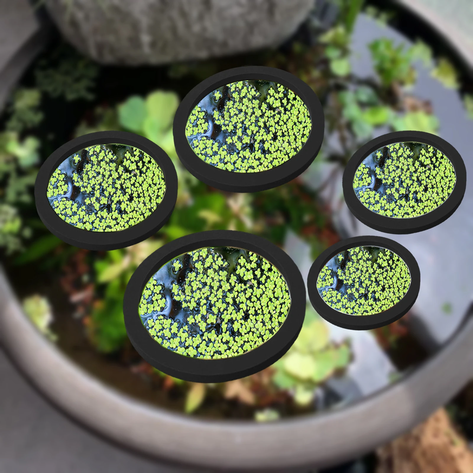 Aquarium Fish Pond - 5 pçs eva anel de alimentação