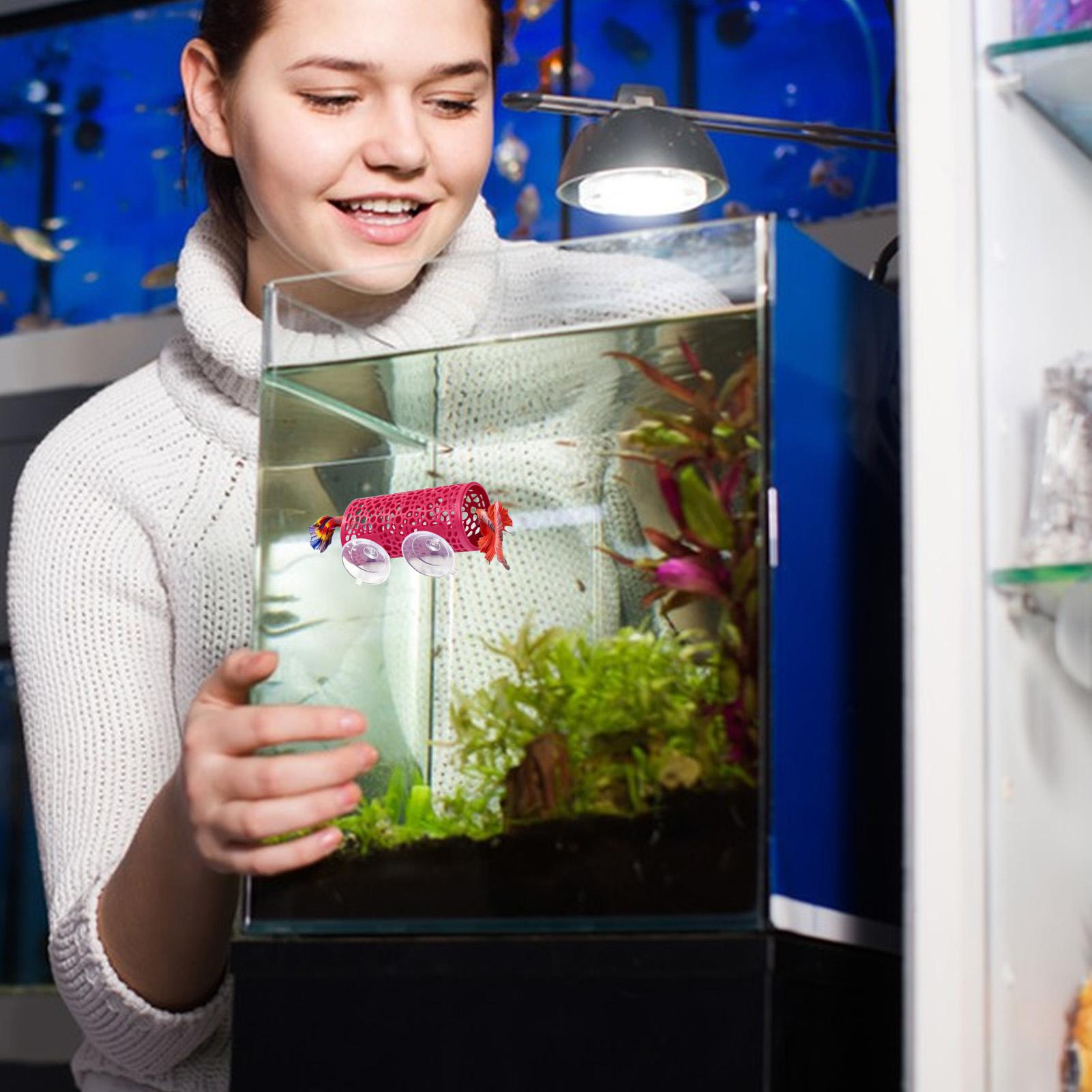 Abrigo de Descanso para Bettas - Aquarium Mini Fish avaliação e preço
