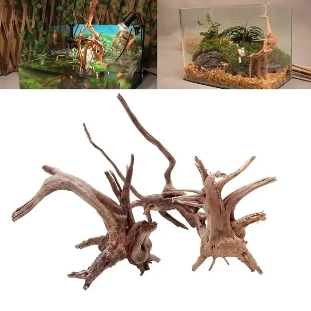 Decoração de Aquário em Madeir - Aquarium Fish Saltwater avaliação e preço