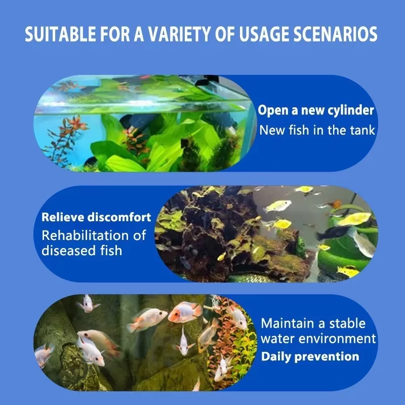 Tratamento de doenças de peixe - Aquarium Fish Saltwater avaliação e preço