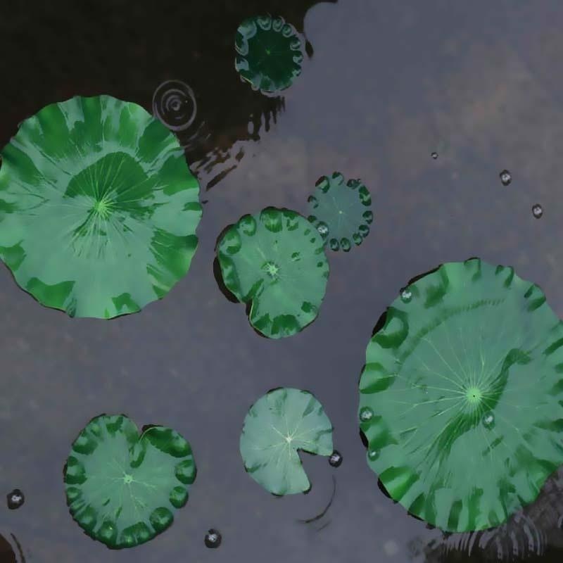 Folhas de Lótus Artificiais 20 - Aquarium Fish Pond avaliação e preço