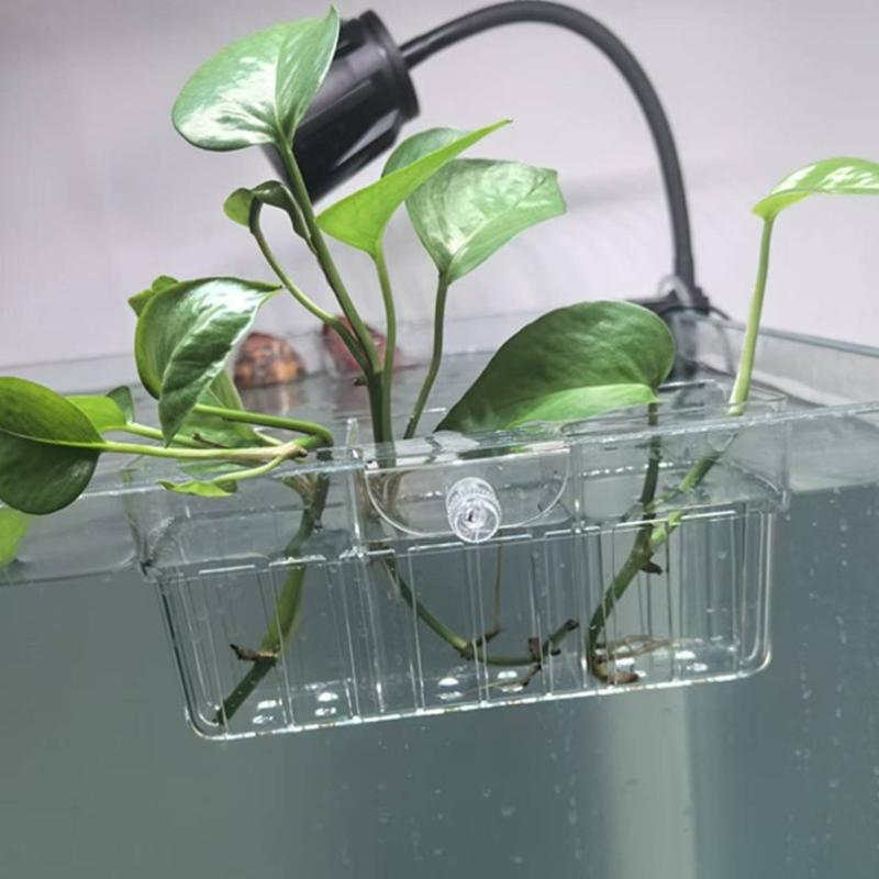 Cesto para Plantas Hidropônica - Aquarium Fish In avaliação e preço
