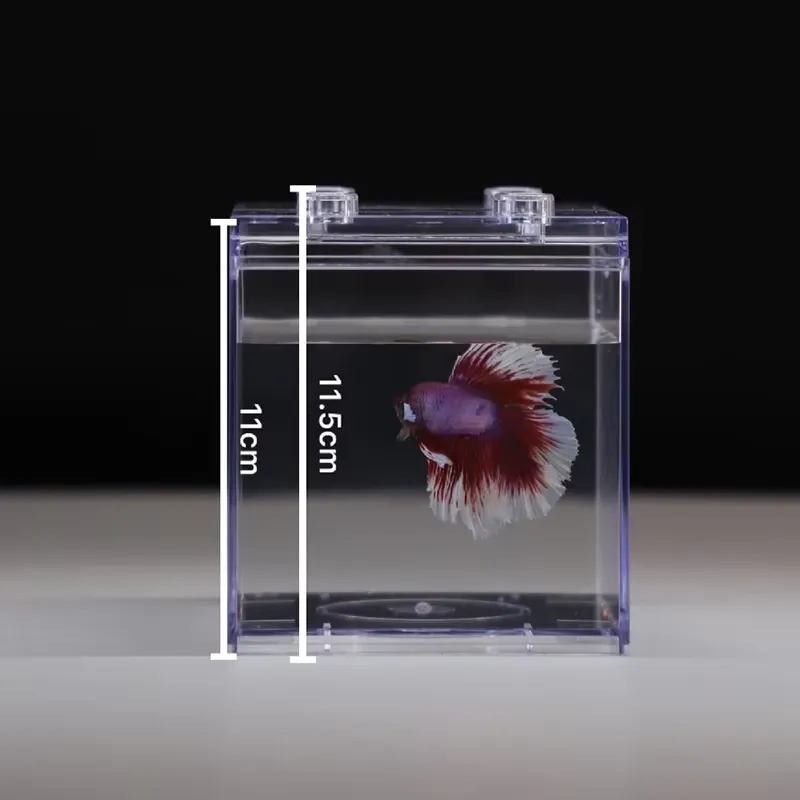 Mini Aquário Relaxlines para D - Aquarium Mini Fish avaliação e preço