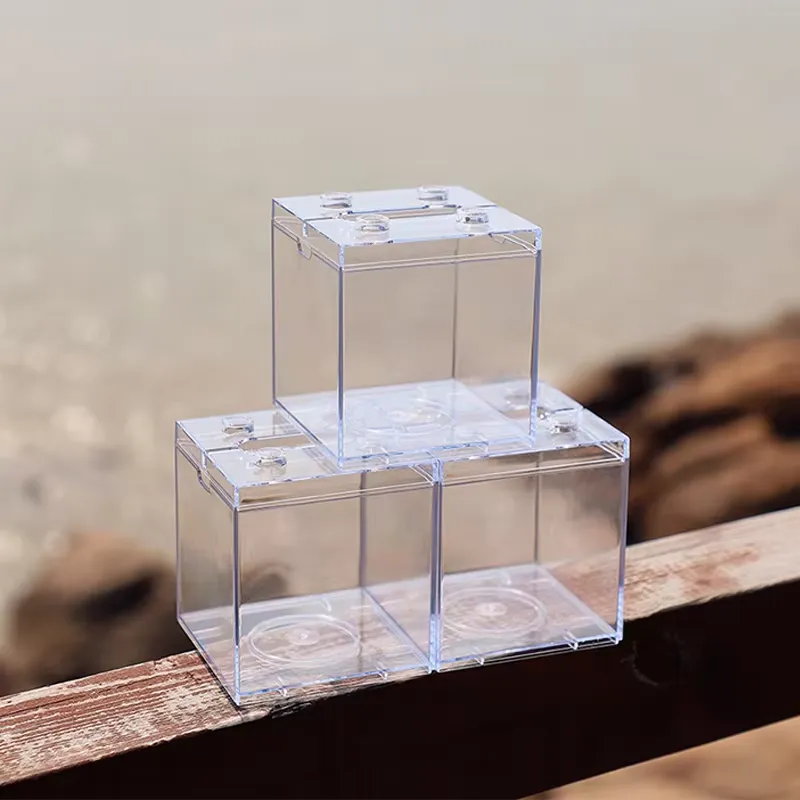 Mini Aquário Relaxlines para D - Aquarium Mini Fish avaliação e preço