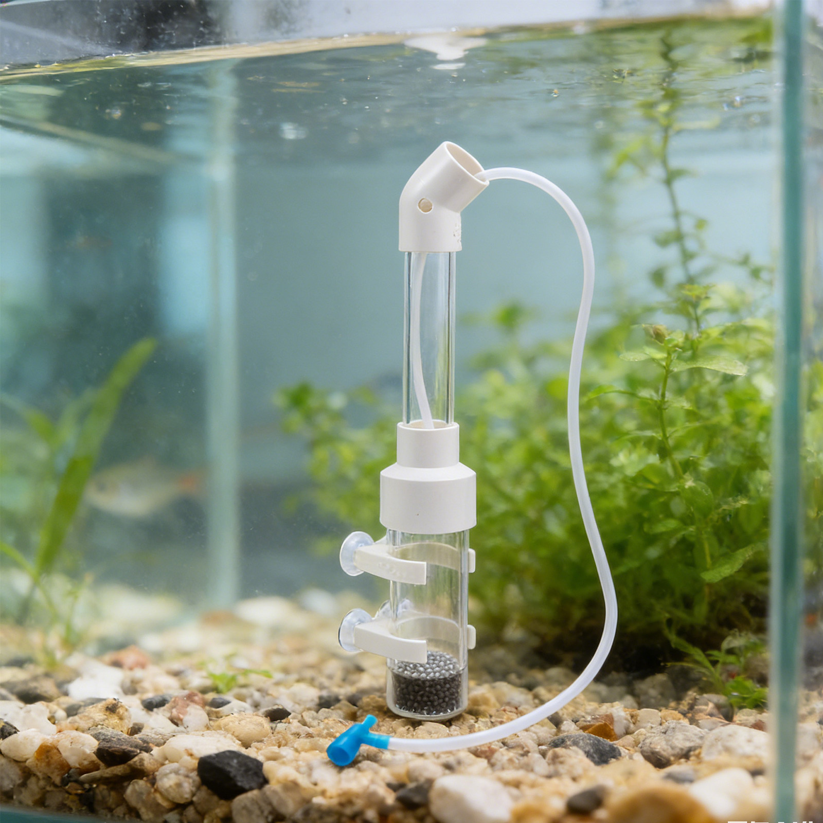 2 conjuntos de kit incubador d - Aquarium Fish In avaliação e preço