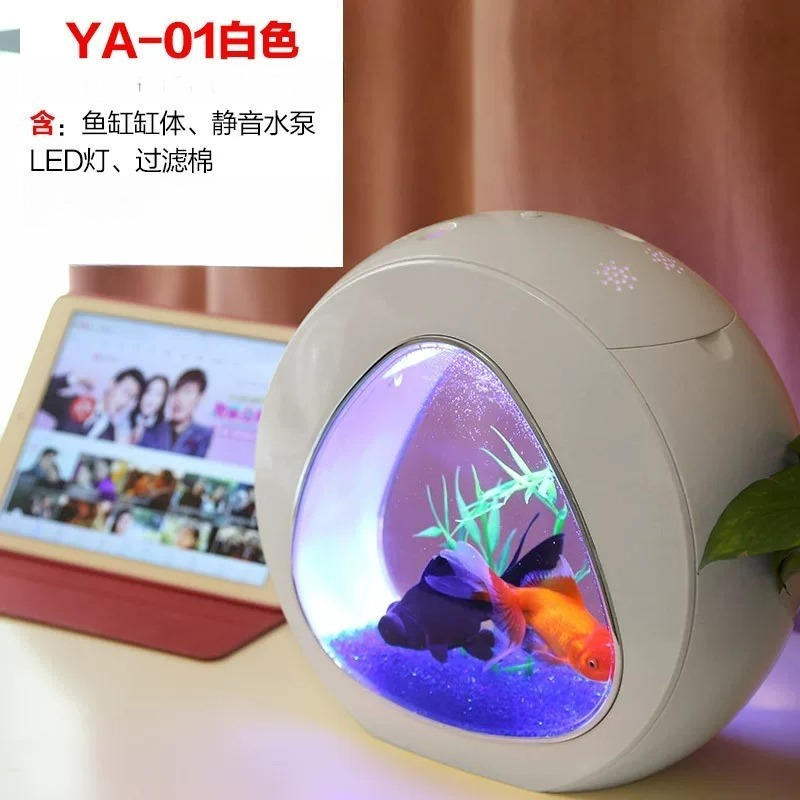 Aquário, Aquário de Mesa, Sala - Aquarium Mini Fish avaliação e preço