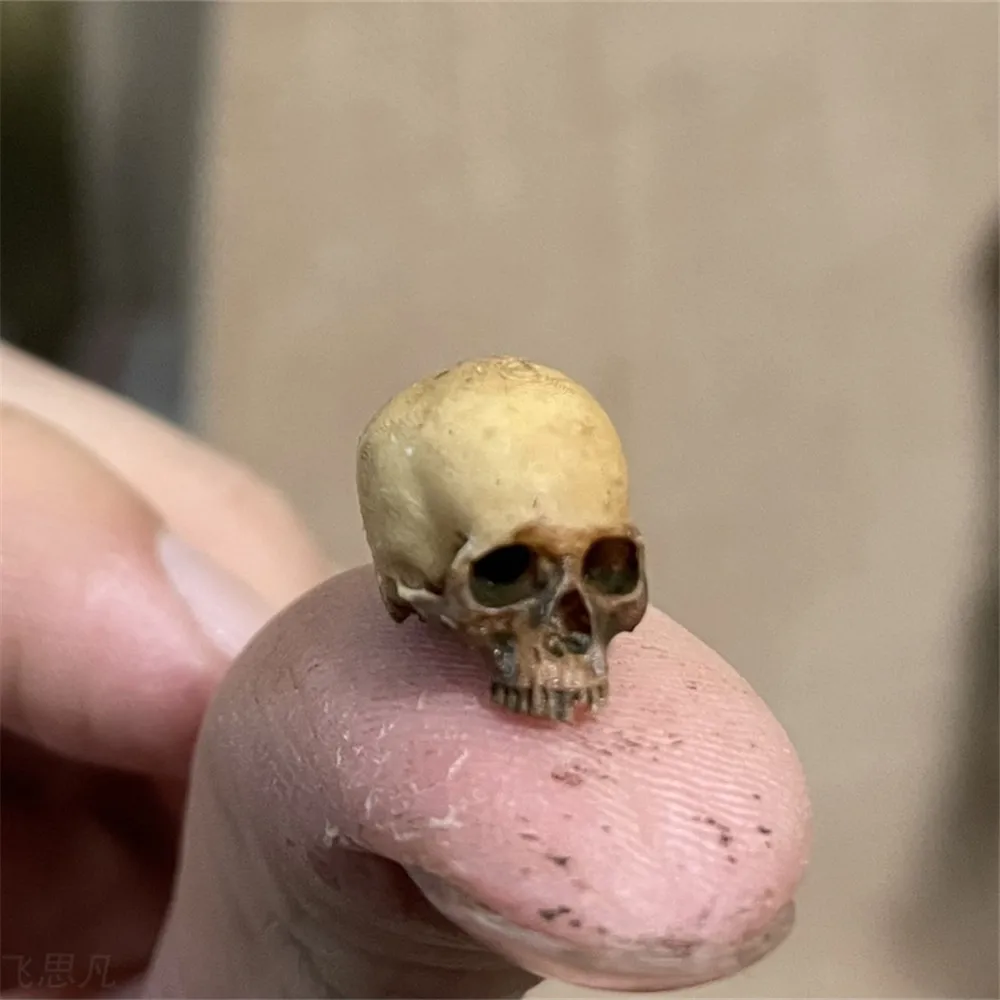 Mini crânio modelo em miniatur - Aquarium Fish Unique avaliação e preço