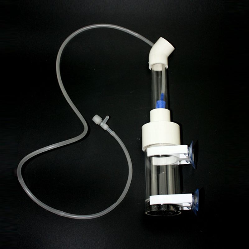 Incubadora de Ovos para Cíclid - Aquarium Fish In avaliação e preço