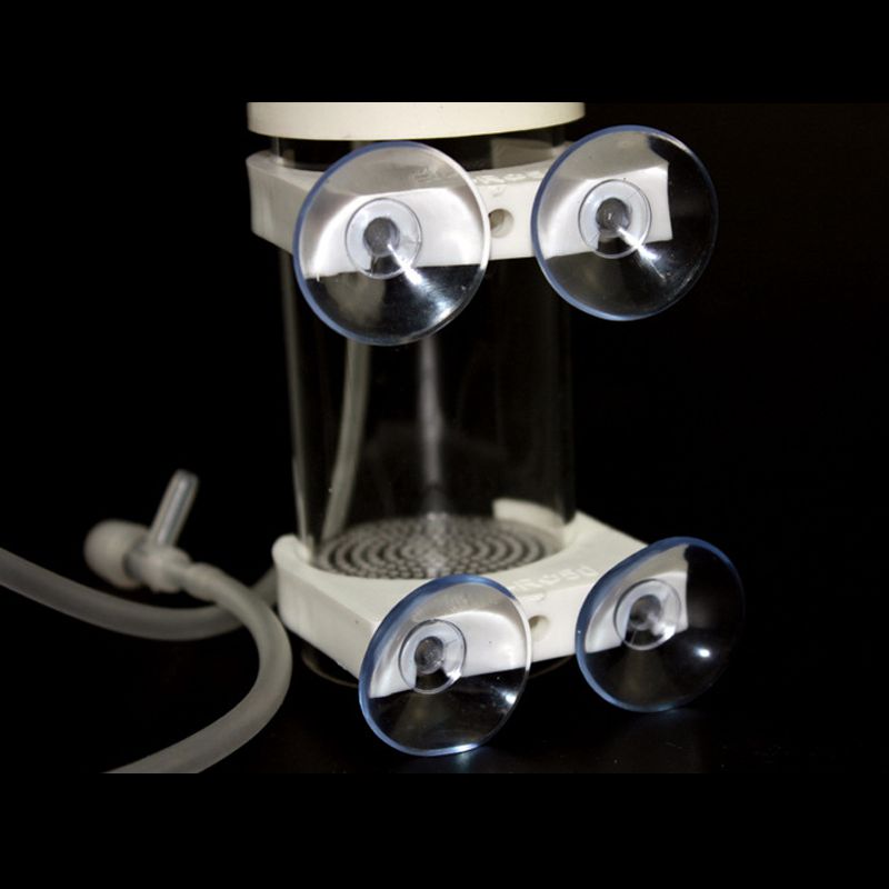 Incubadora de Ovos para Cíclid - Aquarium Fish In avaliação e preço