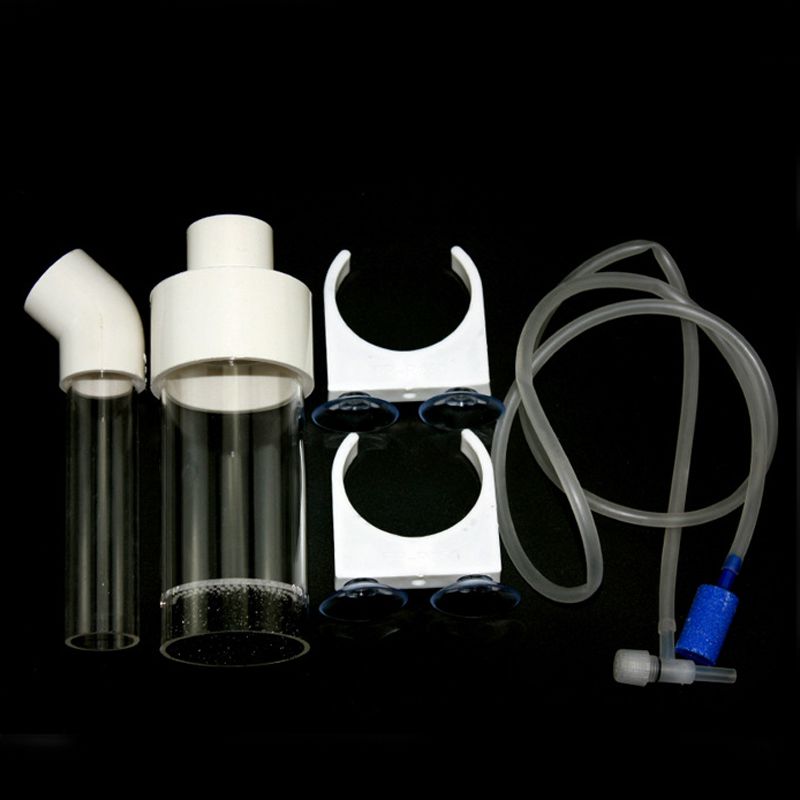 Incubadora de Ovos para Cíclid - Aquarium Fish In avaliação e preço