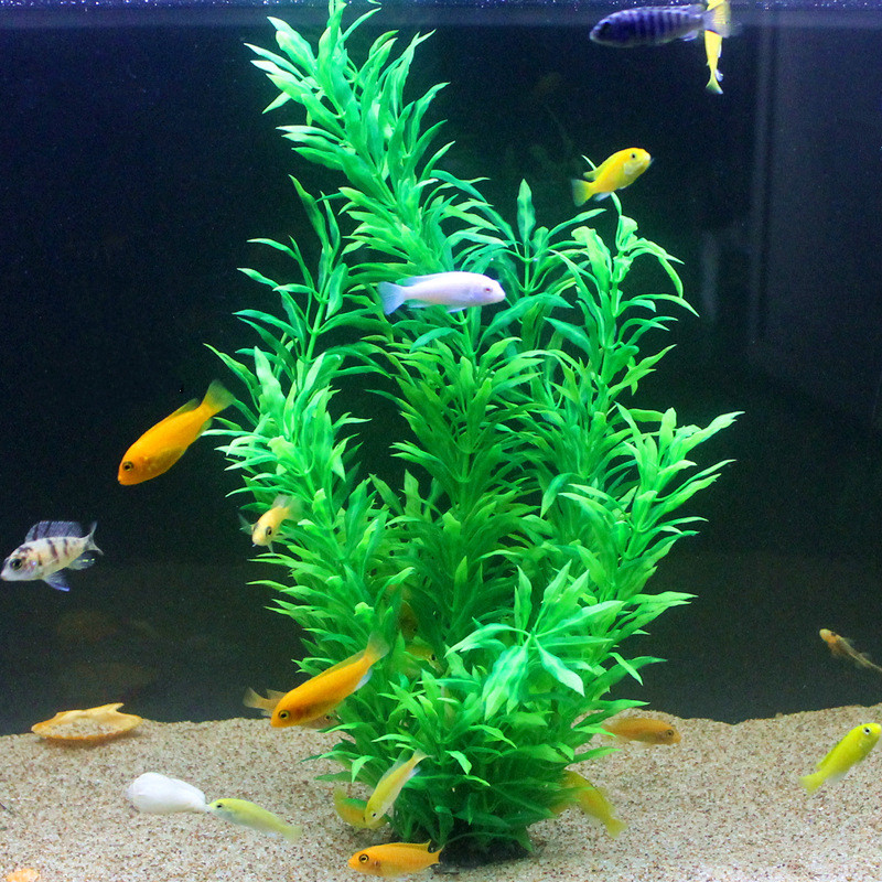 Plantas Artificiais Raras para - Aquarium Fish Saltwater avaliação e preço