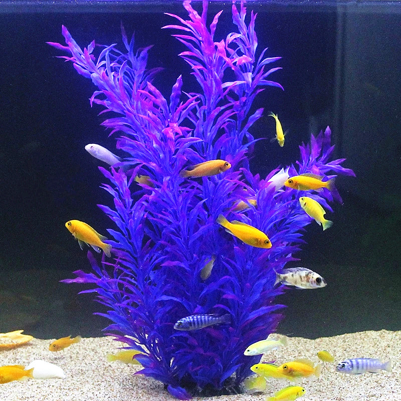 Plantas Artificiais Raras para - Aquarium Fish Saltwater avaliação e preço