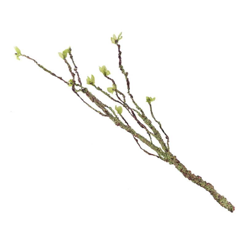 Vinhas decoração galhos de esc - Aquarium Fish Saltwater avaliação e preço